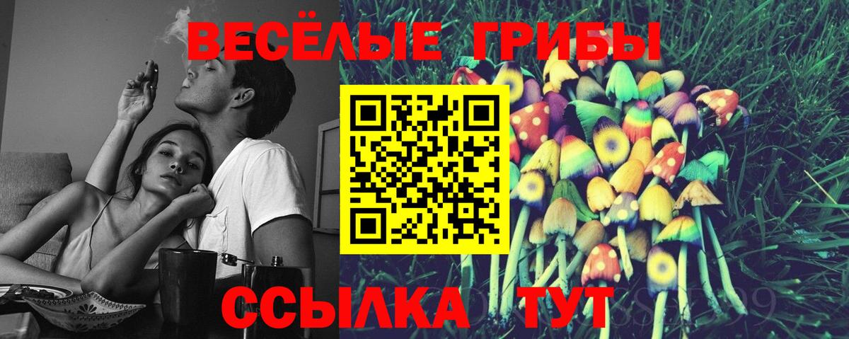 Ирбит  Псилоцибиновые грибы GOLDEN TEACHER  Вход с VPN 